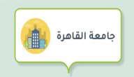 أفضل التخصصات في جامعة القاهرة صورة مقال أفضل التخصصات في جامعة القاهرة