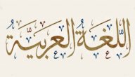 أصل اللغة العربية صورة مقال أصل اللغة العربية
