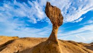 تعريف التجوية الحيوية صورة مقال تعريف التجوية الحيوية