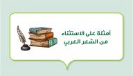 صورة مقال أمثلة على الاستثناء من الشعر العربي