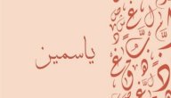صورة مقال معنى اسم ياسمين