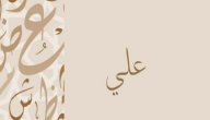 ما معنى اسم علي؟ صورة مقال ما معنى اسم علي؟
