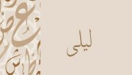 معنى اسم ليلى صورة مقال معنى اسم ليلى