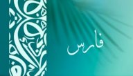صورة مقال معنى اسم فارس