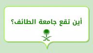 أين تقع جامعة الطائف؟