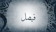 صورة مقال معنى اسم فيصل
