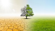 تأثير الاحتباس الحراري على الزراعة صورة مقال تأثير الاحتباس الحراري على الزراعة