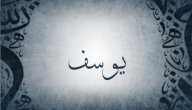 ما معنى اسم يوسف؟ ما معنى اسم يوسف؟