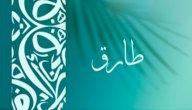 صورة مقال معنى اسم طارق