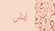 معنى اسم إيناس صورة مقال معنى اسم إيناس