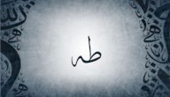 معنى اسم طه صورة مقال معنى اسم طه