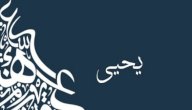 معنى اسم يحيى صورة مقال معنى اسم يحيى