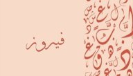 معنى اسم فيروز صورة مقال معنى اسم فيروز