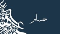 صورة مقال ما معنى اسم حسام؟
