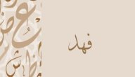 صورة مقال معنى اسم فهد