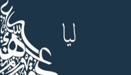 صورة مقال معنى اسم ليا