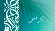 صورة مقال معنى اسم يونس