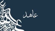 صورة مقال معنى اسم عاهد