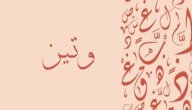 صورة مقال معنى اسم وتين