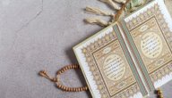 سورة البقرة لقضاء الحوائج صورة مقال سورة البقرة لقضاء الحوائج