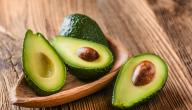 صورة مقال أنواع الأفوكادو