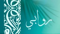 صورة مقال معنى اسم روابي
