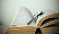 أصل اللغة الأمازيغية صورة مقال أصل اللغة الأمازيغية