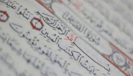 سبب نزول سورة القصص صورة مقال سبب نزول سورة القصص