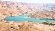 معلومات عن محمية وادي الموجب صورة مقال معلومات عن محمية وادي الموجب