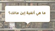 صورة مقال ما هي ألفية إبن مالك؟