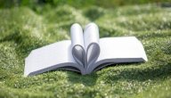 أفضل كتب للقراءة للسيدات صورة مقال أفضل كتب للقراءة للسيدات