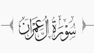 صورة مقال فضل سورة آل عمران