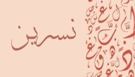 صورة مقال معنى اسم نسرين