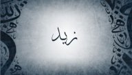 معنى اسم زيد صورة مقال معنى اسم زيد