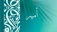 معنى اسم أمير صورة مقال معنى اسم أمير