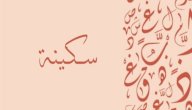 معنى اسم سكينة صورة مقال معنى اسم سكينة