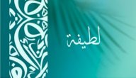 معنى اسم لطيفة صورة مقال معنى اسم لطيفة