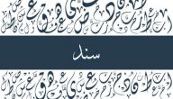 صورة مقال معنى اسم سند