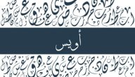 صورة مقال معنى اسم أويس