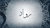 معنى اسم رواد صورة مقال معنى اسم رواد