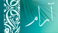 صورة مقال معنى اسم آرام