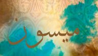 معنى اسم ميسون صورة مقال معنى اسم ميسون