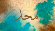 معنى اسم مجد صورة مقال معنى اسم مجد