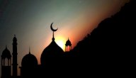 من ساند الرسول في الدعوة السرية؟ صورة مقال من ساند الرسول في الدعوة السرية؟