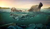 أنواع التلوث البحري صورة مقال أنواع التلوث البحري