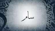 معنى اسم سام صورة مقال معنى اسم سام