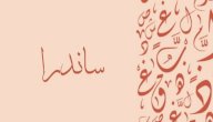 صورة مقال معنى اسم ساندرا