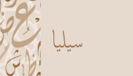 صورة مقال معنى اسم سيليا