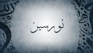 معنى اسم نورسين صورة مقال معنى اسم نورسين