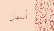 معنى اسم أسمهان صورة مقال معنى اسم أسمهان